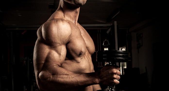 Dicas para desenvolver bíceps maiores