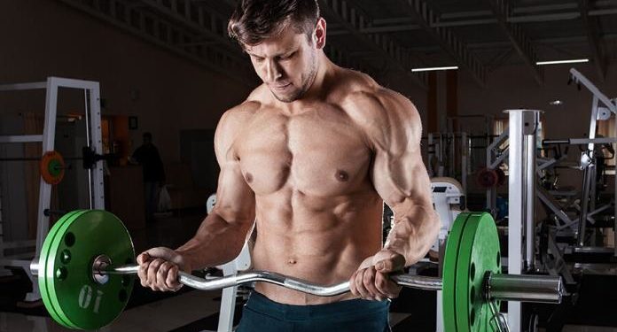 Por que o treino de força é obrigatório para todos?