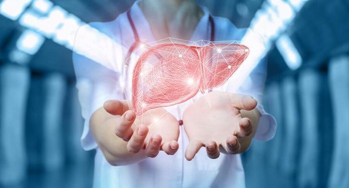 Como a Inteligência Artificial está transformando os serviços de saúde