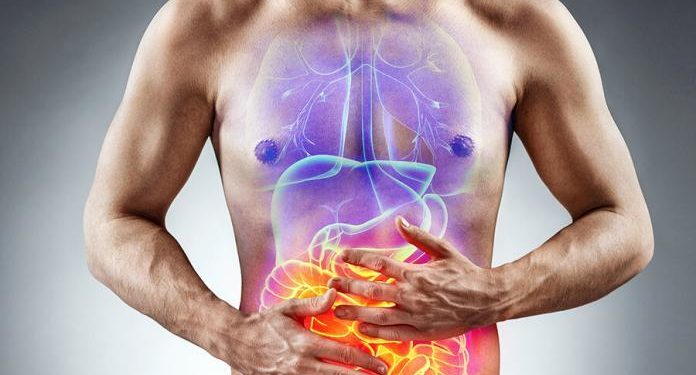 Como restaurar a flora intestinal após antibióticos?