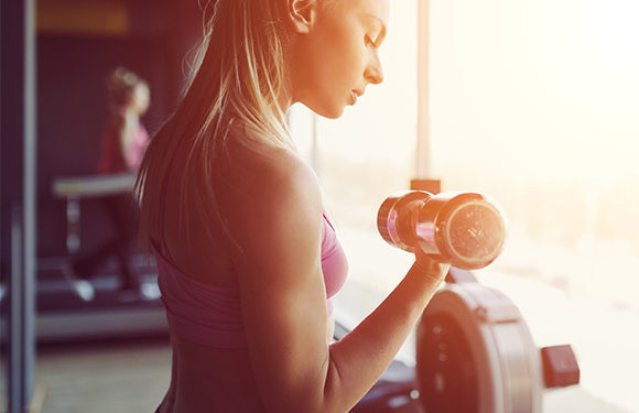 Rotina de treinos | Blog Bodybuilders