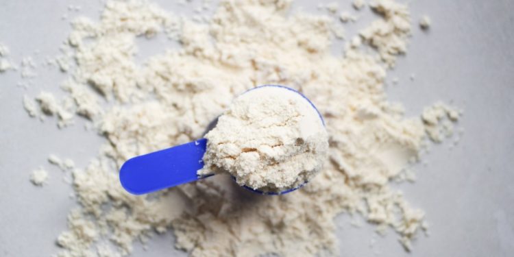 o que é whey protein