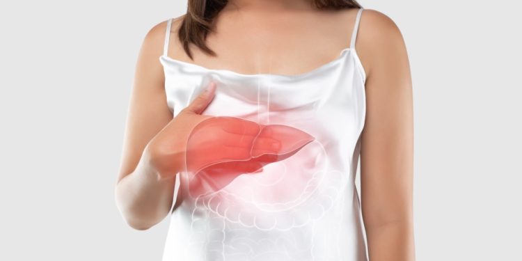 silimarina para que serve