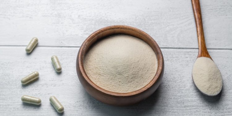 colágeno tipo 2 para que serve