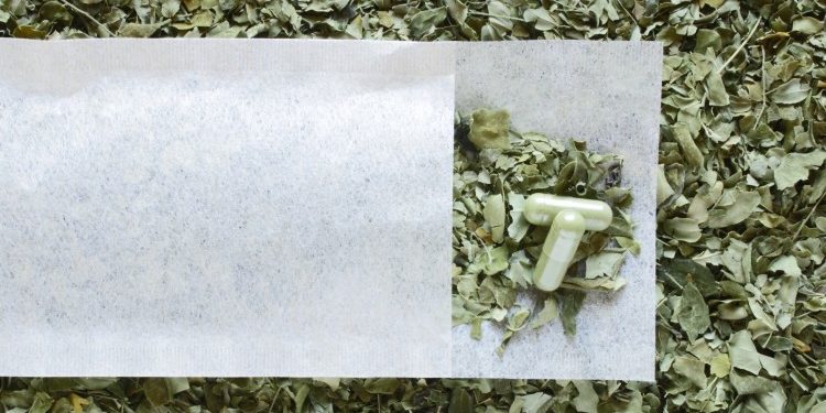 Carqueja para que serve