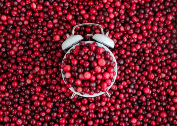 cranberry