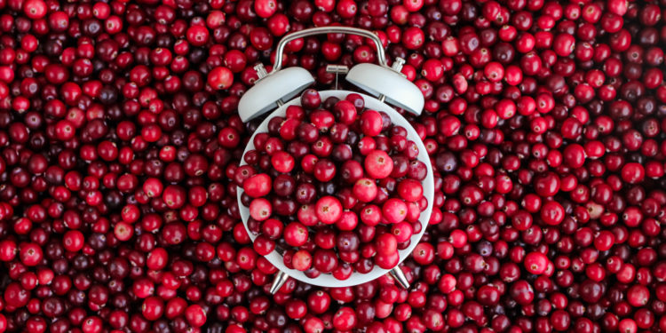 cranberry