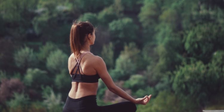 Fenilalanina para que serve