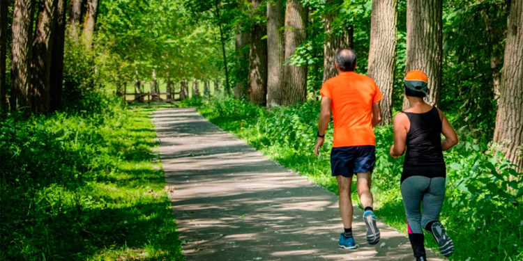 Colina: Melhora das habilidades cognitivas