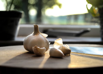 Extrato de Alho: ação bactericida e expectorante