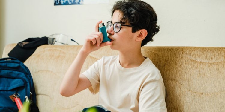 Quercetina ajuda a tratar a asma?