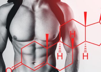 melhores suplementos para aumentar a testosterona