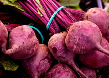 Beet Root Extrato de Raiz de Beterraba