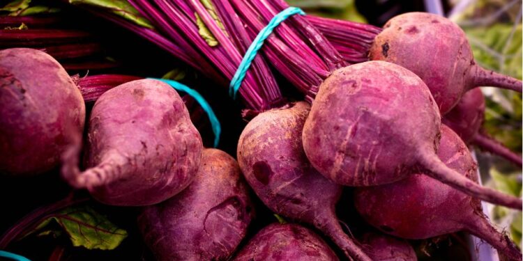 Beet Root Extrato de Raiz de Beterraba